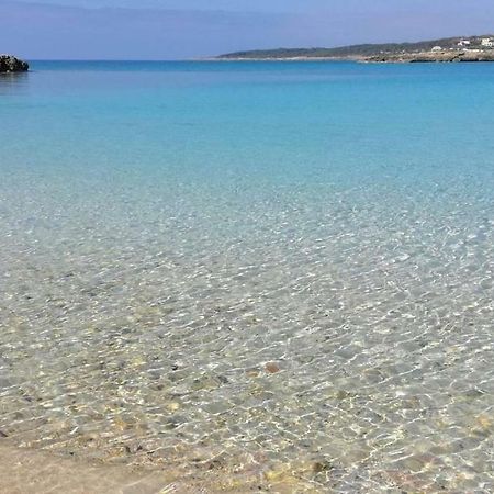Il Giardino Delle Jacaranda Bed & Breakfast Talsano Dış mekan fotoğraf