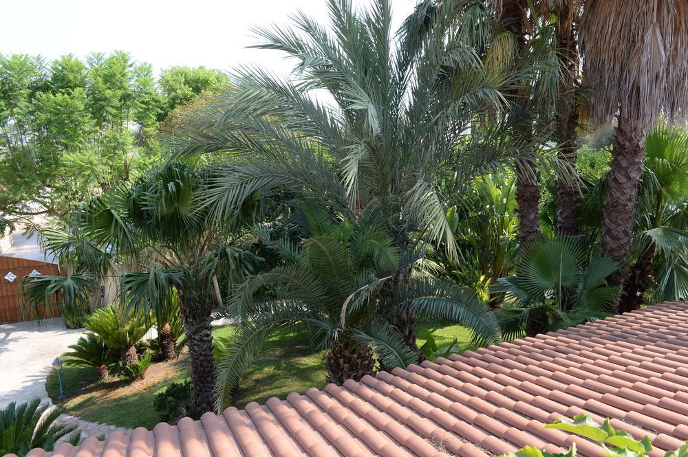 Il Giardino Delle Jacaranda Bed & Breakfast Talsano Dış mekan fotoğraf